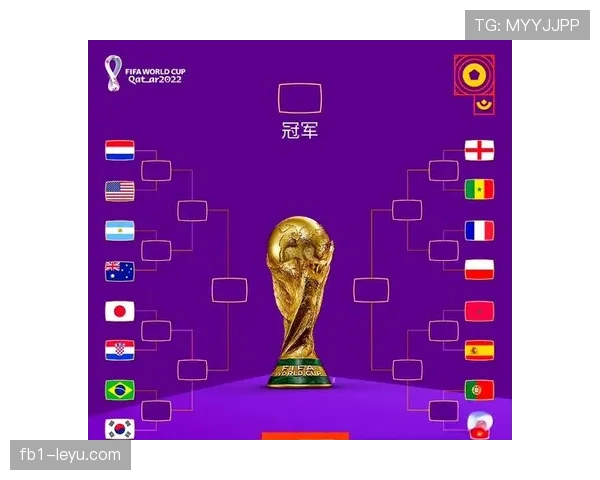 2026世界杯澳大利亚对阵埃及：32强淘汰赛对阵回顾